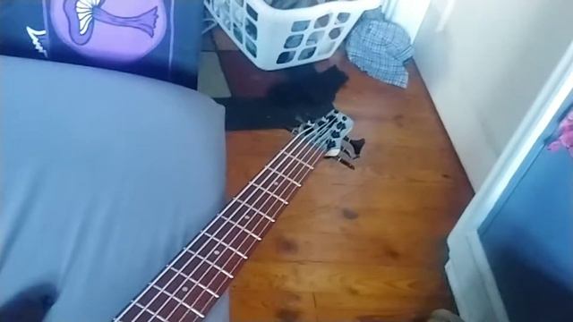 my new ibanez gio GSR206BWNF 6 -string bass (for uncle daddy) смотреть онлайн