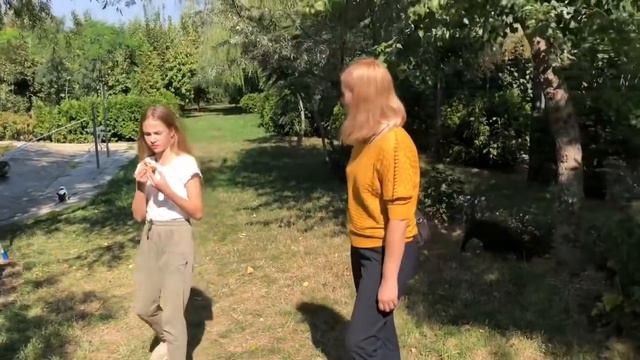 Французский бульдог Мира на радость всему человечеству смотреть онлайн