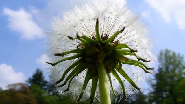 ВИЗУАЛЬНАЯ МЕДИТАЦИЯ -- Расслабление смотреть онлайн
