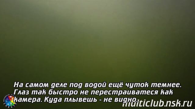 Проплыв подо льдом - 15 метров смотреть онлайн