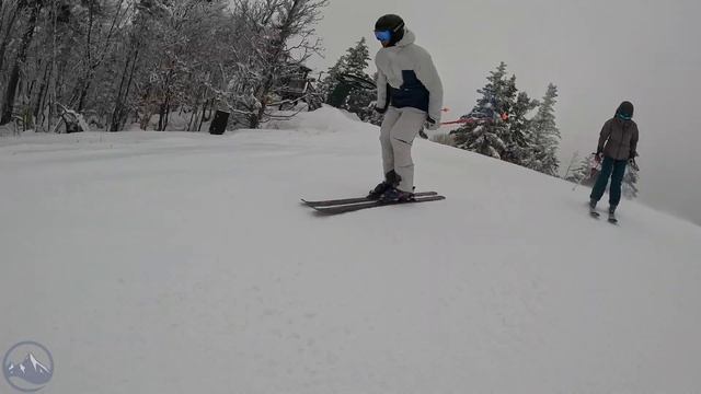 2024 Nordica Steadfast 85 DC Ski Review with SkiEssentials.com смотреть онлайн