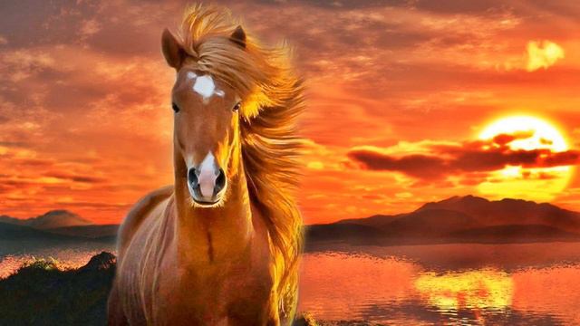 Neptune Dreams 13 prof Miki смотреть онлайн