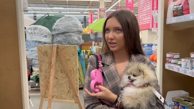 Первая ПРОГУЛКА и ШОПИНГ шпица МИКИ ??? смотреть онлайн