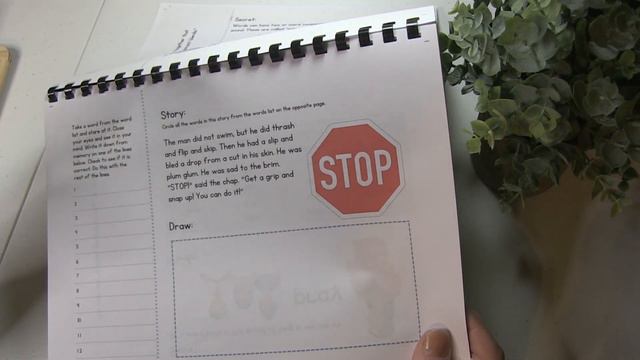 FREE Spelling Curriculum I Like Cinderella смотреть онлайн