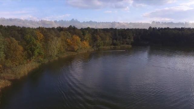 elling forsage 310 смотреть онлайн