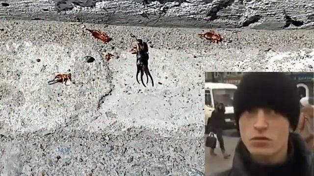 Как двухвостки мешают закрываться воротам. смотреть онлайн
