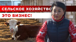 Сельское хозяйство - это бизнес | Мясное животноводство | Разведение крупного рогатого скота