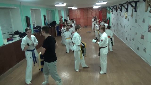 Тренировка 19 декабря 2018 года. Группа №3 Киокусинкай Каратэ Климовск смотреть онлайн