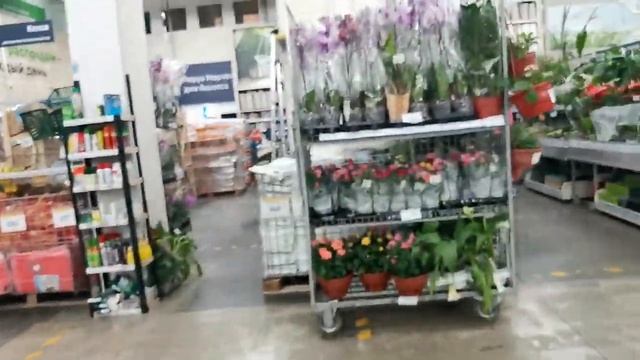 Леруа:ПОТРЯСАЮЩИЙ привоз ОРХИДЕЙ, 02.10.23,ТЦ "Космопорт",Самара, ул. Дыбенко, 30. смотреть онлайн