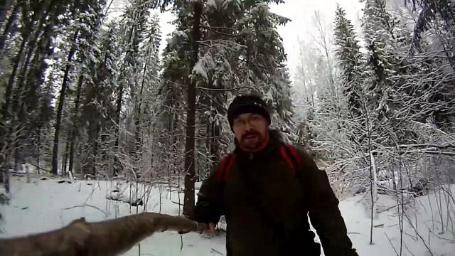 Выход в лес и мысли о фотоаппарате 2 смотреть онлайн