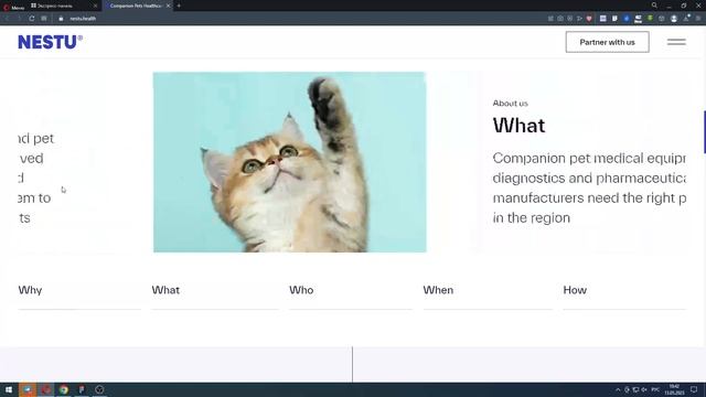 Смотрю сайты на Awwwards. Эфир №18. Что можно применить на Тильде смотреть онлайн