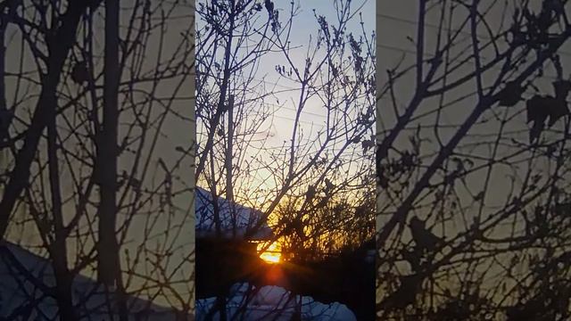 📹 Утро в саду. Восходит солнце ☀. "С добрым утром всех!" 😊 смотреть онлайн