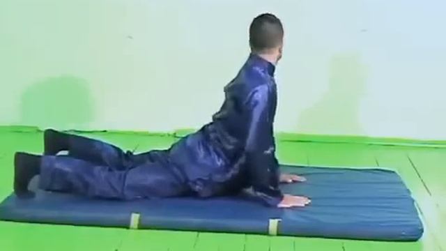 Простые упражнения для позвоночника смотреть онлайн