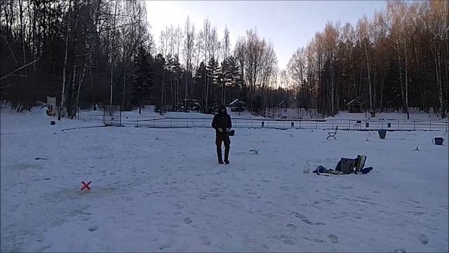 Поимки форели на нижнем водоёме. Клёвое место, Лосиный остров. смотреть онлайн