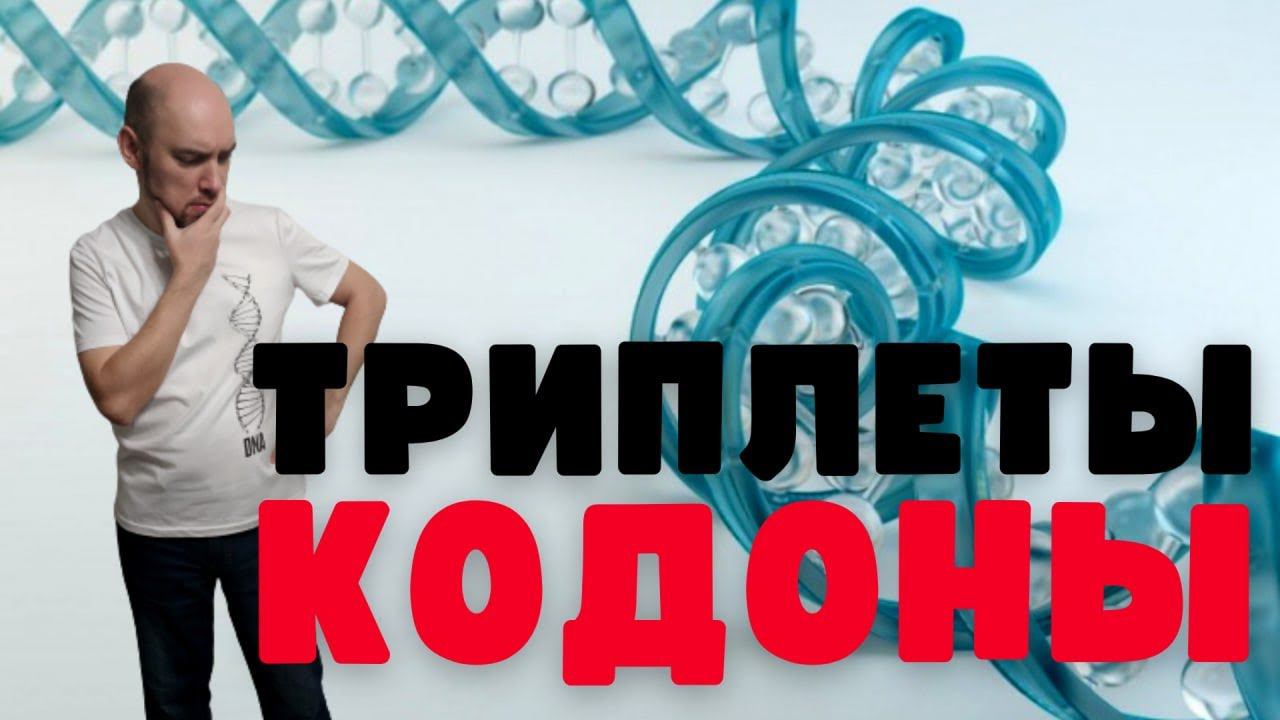 Что такое триплеты и кодоны? Душкин объяснит смотреть онлайн