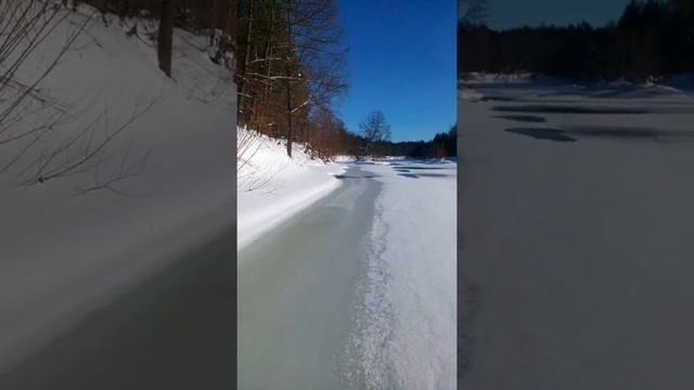 В ЗВениговском районе спасатели помогли застрявшим в лесу смотреть онлайн