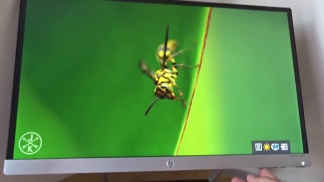 HP Pavilion 23cw Full HD 23" IPS LED Monitor смотреть онлайн