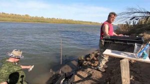 Рыбалка на АХТУБЕ 2019.