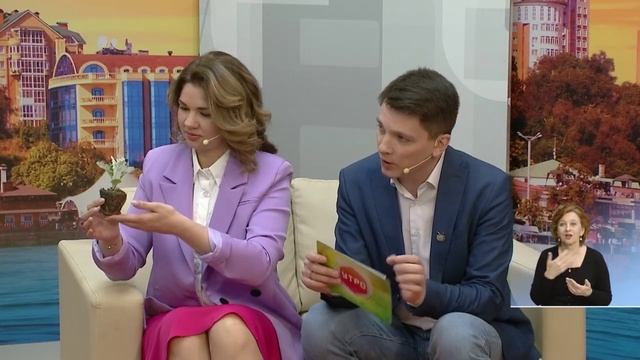 Многообразие цветов.mp4 смотреть онлайн