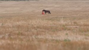 Иркэ - Кыргый гол