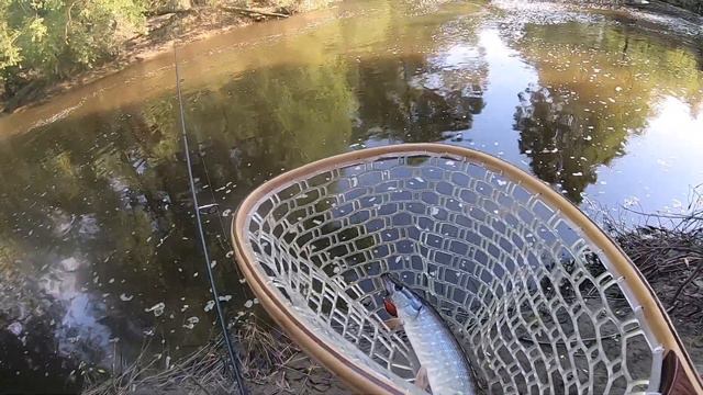 Вечером на Десне, первые голавли 2020, щучки и окуньки смотреть онлайн