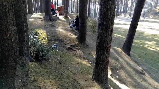 Bullet dangerous ride смотреть онлайн