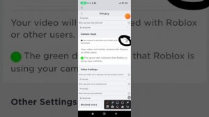 КАК ВКЛЮЧИТЬ КАМЕРУ В РОБЛОКС?!