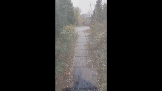 Боярка новости смотреть онлайн