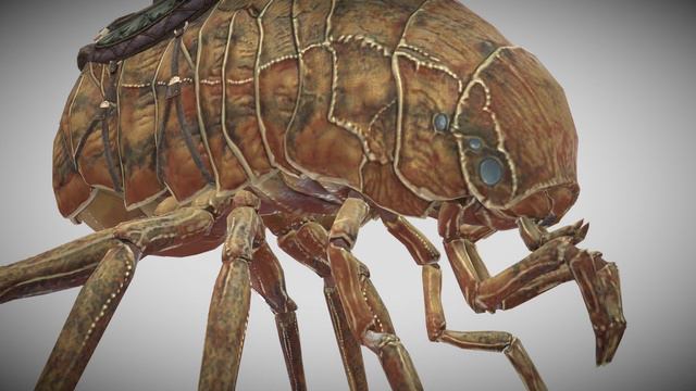 Silt Hopper (A) ∣ ESO › Creatures › Monsters смотреть онлайн