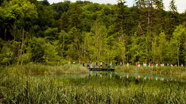 Plitvice Lakes National Park I Croatia I UNESCO World Heritage смотреть онлайн