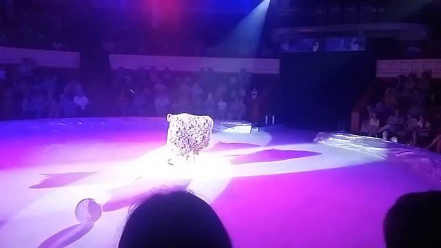 Цирк на роликах 🤡 клоун