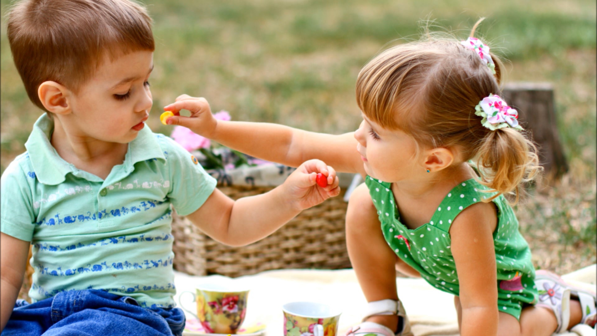 Немного света моего, стихи