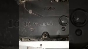 Лавр 203! Раскаксовка двигателя Лавром 203! LAVR ML203. Калина 1.4 16V жрет масло!ПОДПИСЫВАЕМСЯ!!!