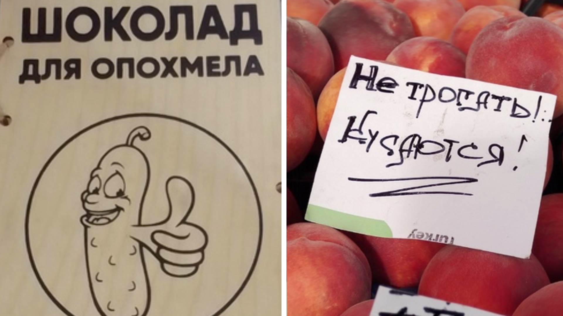 Фото подписчиков Фактории (204 часть) смотреть онлайн