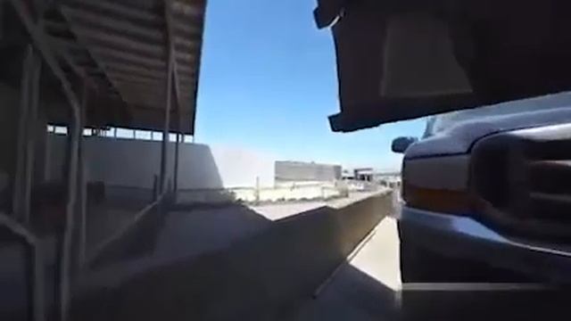 зоозащитники