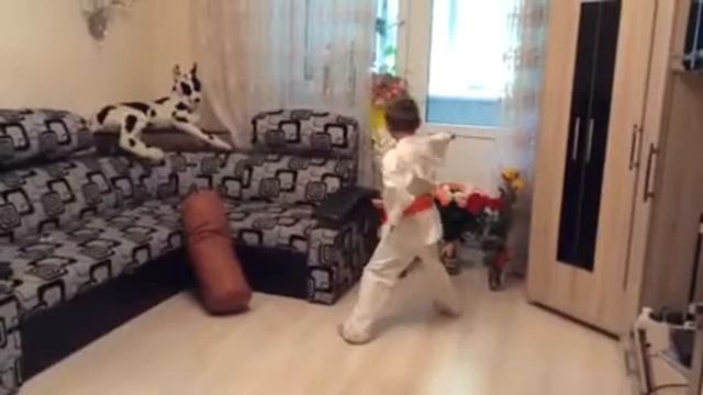 Пинан Соно Ичи от Максима смотреть онлайн