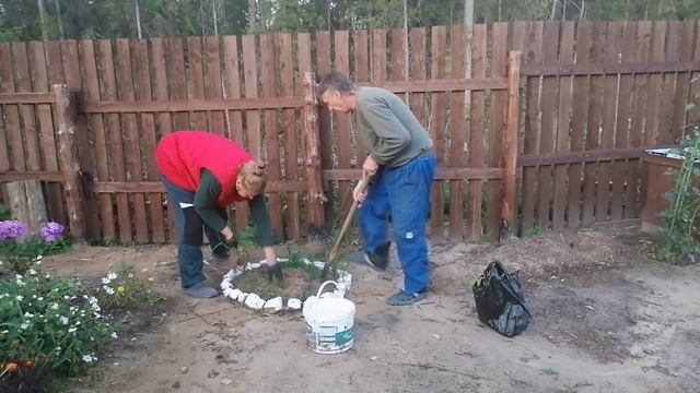Приехали. Садим пионы и многое другое. смотреть онлайн