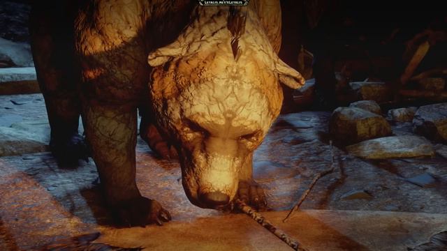 Dragon Age Inquisition - Judging Storvacker the Bear - All Outcomes смотреть онлайн