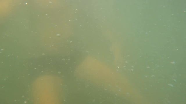 ОТДЫХ В АДЛЕРЕ 2023/ КУПАЕМСЯ смотреть онлайн