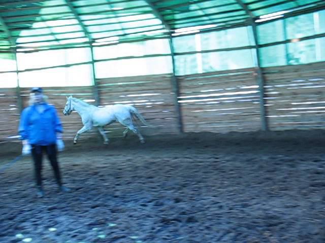 Проза смотреть онлайн