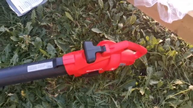 ОНЛАЙН ТРЕЙД.РУ — Пылесос-воздуходувка Einhell GC-EL 2500 E смотреть онлайн