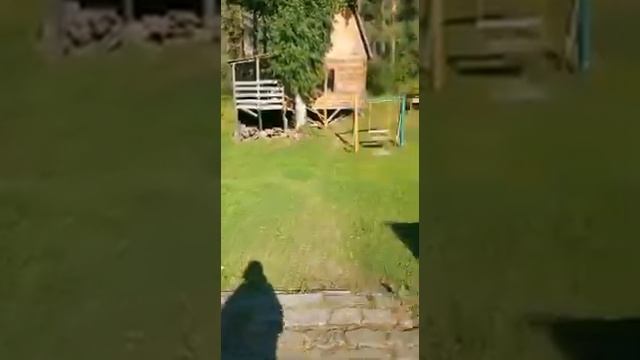 Обзор турбазы в Горном Алтае смотреть онлайн