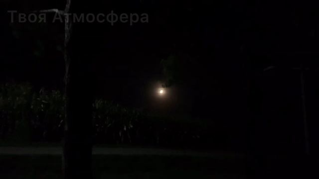 Звуки сверчков, шум ночного села