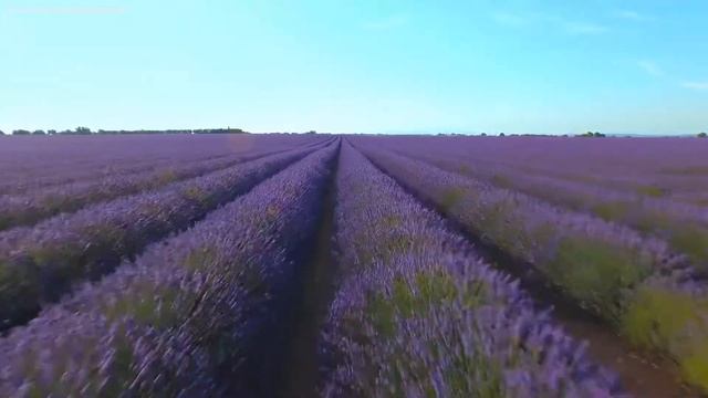 Расслабляющая кельтская музыка для расслабления и медитации | «Ритм жизни» смотреть онлайн