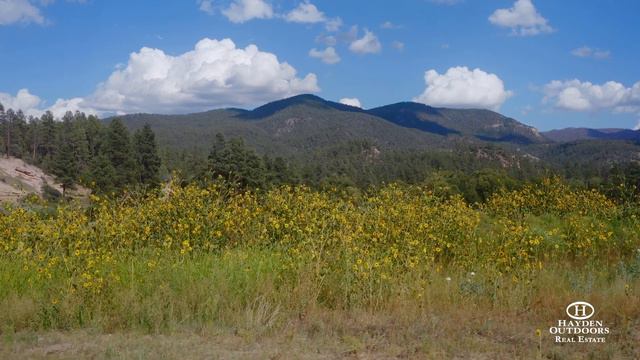 BLUE RIVER RANCH - GREENLEE COUNTY, ARIZONA смотреть онлайн