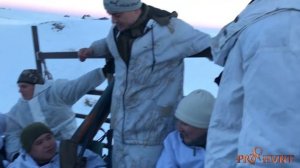 Wolf hunting in Kazakhstan - охота на волка в Казахстане