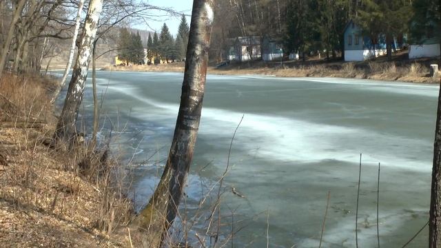 Прогулка на Вербное воскресенье смотреть онлайн
