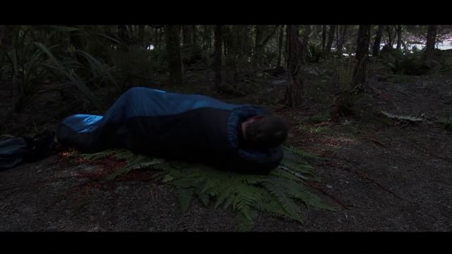 Flyfishing New zealand: Deep into the Wild смотреть онлайн