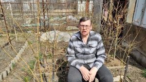 Подкормка голубики весной и внесение серы.