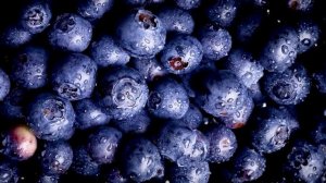 Most Powerful Epic OLED Dolby Vision - 4K HDR Video ULTRA HD 120FPS